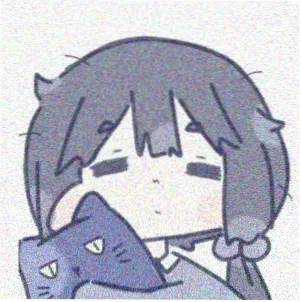 网友头像
